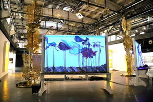 不息——第57屆威尼斯國際藝術雙年展中國館上海站開幕，藝術表演場館管理服務助力文化交流