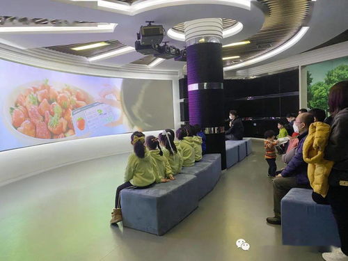 走進石化廠館 科普能源知識 前京小學二4中隊 藝術表演場館管理服務