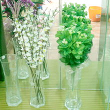 花與家的雙重饋贈 盱眙梅源花坊的產(chǎn)品美學與生活意趣